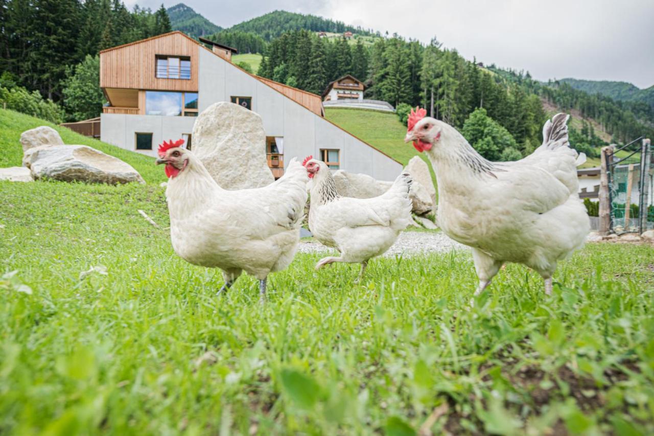 Koasa-Hof Ganzes Ferienhaus Und Sauna 5 Zimmer 240Mq Cadipietra Esterno foto